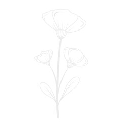 Flower white line art.