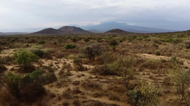 Traditional Maasai Village in Savannah Landscape