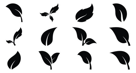 Set of leaf icon vector illustration isolated on white background
