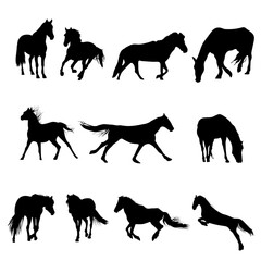 Horses silhouette set vector illustration, different poses horse vector