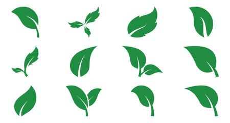 Eco green color leaf vector logo flat icon set. Isolated leaves icon on white background. Bio plant and tree floral forest concept design. Vector green leaf icon, eps 10 © Oliver Vandenberg