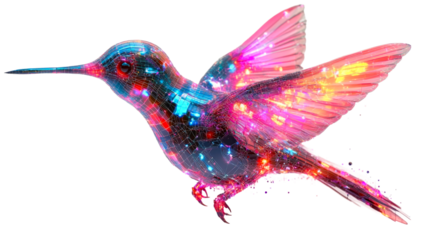 Hummingbird wireframe colorful plumage, cut out transparent