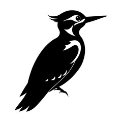 Woodpecker Silhouette vector illustration