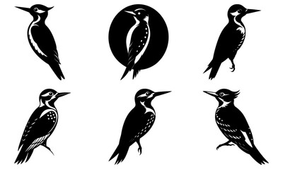 Woodpecker Silhouette vector illustration