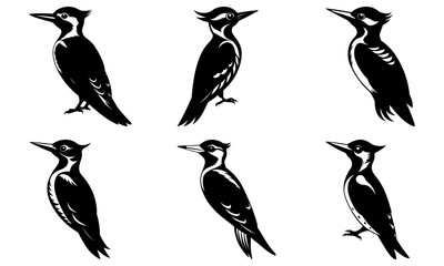Woodpecker Silhouette vector illustration