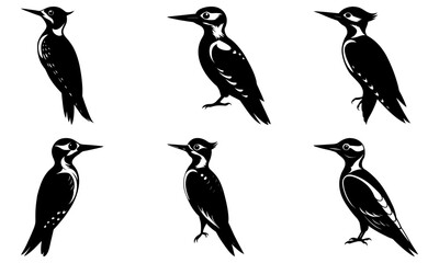 Woodpecker Silhouette vector illustration