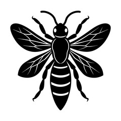 Wasp Silhouette vector illustration
