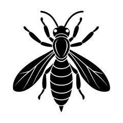 Fototapeta premium Wasp Silhouette vector illustration