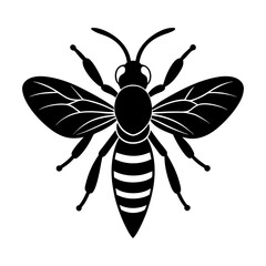 Wasp Silhouette vector illustration