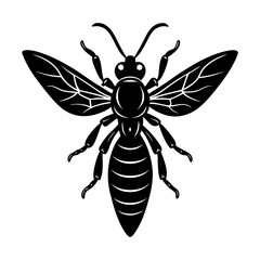 Fototapeta premium Wasp Silhouette vector illustration