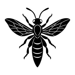 Fototapeta premium Wasp Silhouette vector illustration