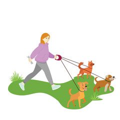  Woman Walking Multiple Dogs on a Leash Vector Illustration