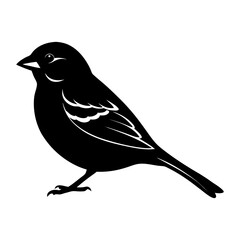 Fototapeta premium Sparrow Silhouette vector illustration