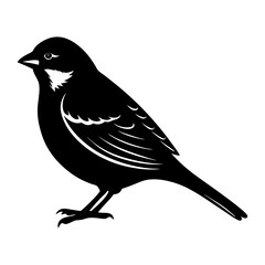 Sparrow Silhouette vector illustration