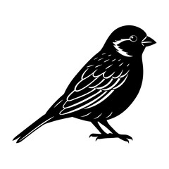 Obraz premium Sparrow Silhouette vector illustration