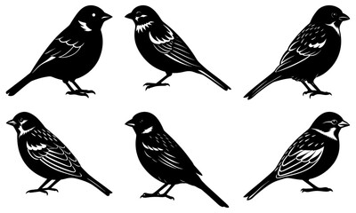 Fototapeta premium Sparrow Silhouette vector illustration
