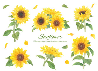 水彩で描いたひまわりのベクター素材セット