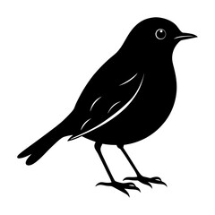 Robin Silhouette vector illustration