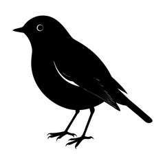 Robin Silhouette vector illustration