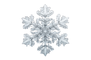 Stunning Snowflake Crystal - Nature's Art