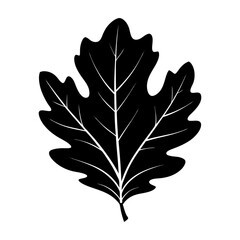 Fototapeta premium Oak Leaf Silhouette vector illustration