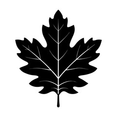 Oak Leaf Silhouette vector illustration