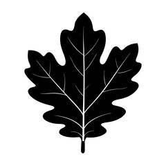 Obraz premium Oak Leaf Silhouette vector illustration