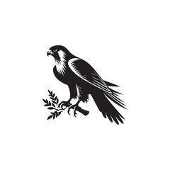Fototapeta premium vector illustration of falcon