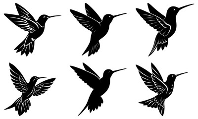 Hummingbird Silhouette vector illustration