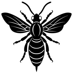 Hornet Silhouette vector illustration