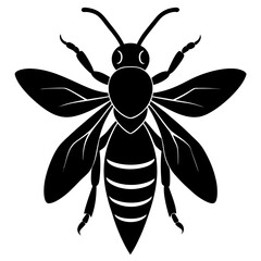 Hornet Silhouette vector illustration