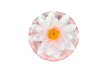 Beautiful water lily isolated on a white background