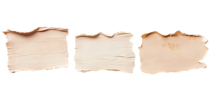 Burned Papers Texture: Burned edges of papers on the blank, evoking a sense of age, history, and mystery. These textures will take the observer on a journey.