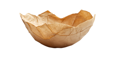 Nature's Elegance: An eco-friendly leaf bowl, meticulously crafted from natural materials, showcasing the beauty of sustainable design and mindful living.
