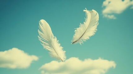 Delicate white feathers float gently against a sky.