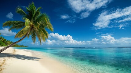Stunning tropical beach scene with lush palm tree and azure ocean sky sea sun sand blue calm view