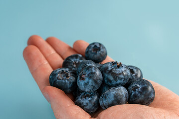 A man's hand holds a handful of blueberries on a blue table background. Close up, point of view shot.