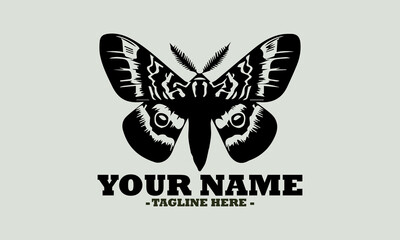 Fototapeta premium beautiful butterflies, butterfly on light background, illustration butterfly vector design, butterfly logo art
