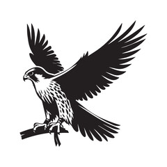 Obraz premium eagle vector illustration