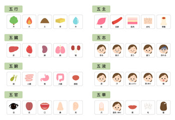 東洋医学　人体の五行分類