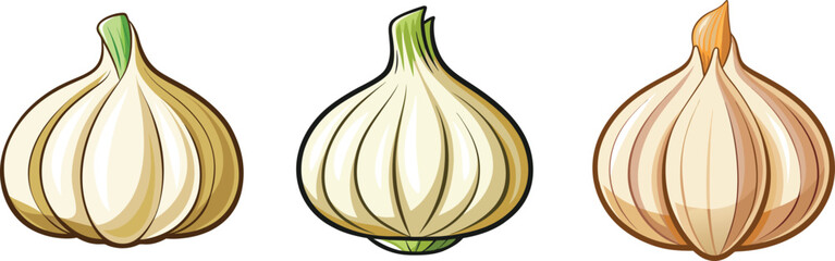 Set of Garlic Detailed Hand Drawn Illustration Vector Isolated on transparent background.