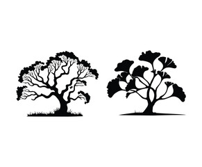 Ginkgo Tree Silhouette Collection on White Background