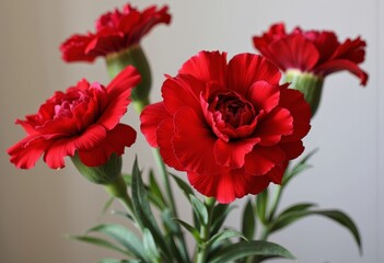 Obraz premium Red carnations bouquet in soft background 