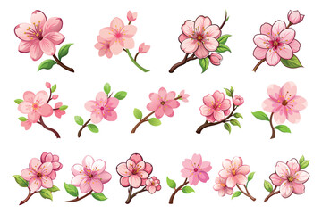 Collection of Beautiful Pink Cherry Blossoms on Branches for Spring Decor