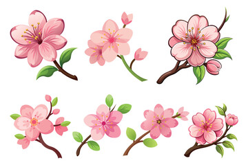 Obraz premium Delicate Cherry Blossoms on Branches a Collection of Isolated Illustration Vectors