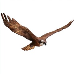 Obraz premium Brown Hawk in Flight Against White Background