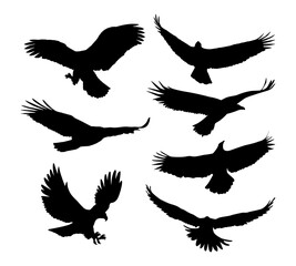 flying eagle silhouettes collection