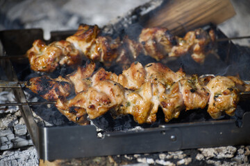 Delicious pork skewers are grilling over an open fire, ready to be enjoyed at a summer barbecue.