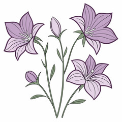 floral balloon illustration white