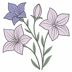 balloon floral illustration art